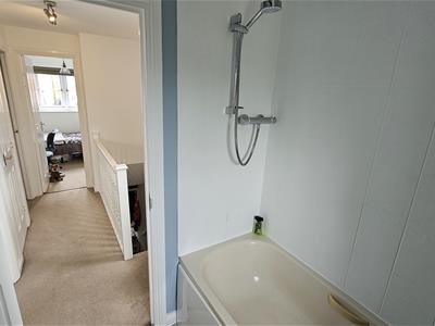 Picture 31